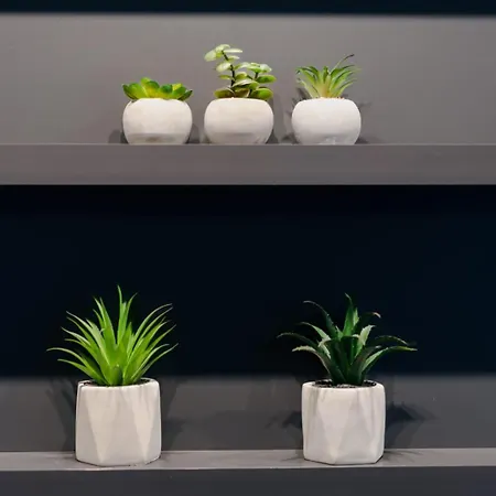 Nova Planina 02*03 *